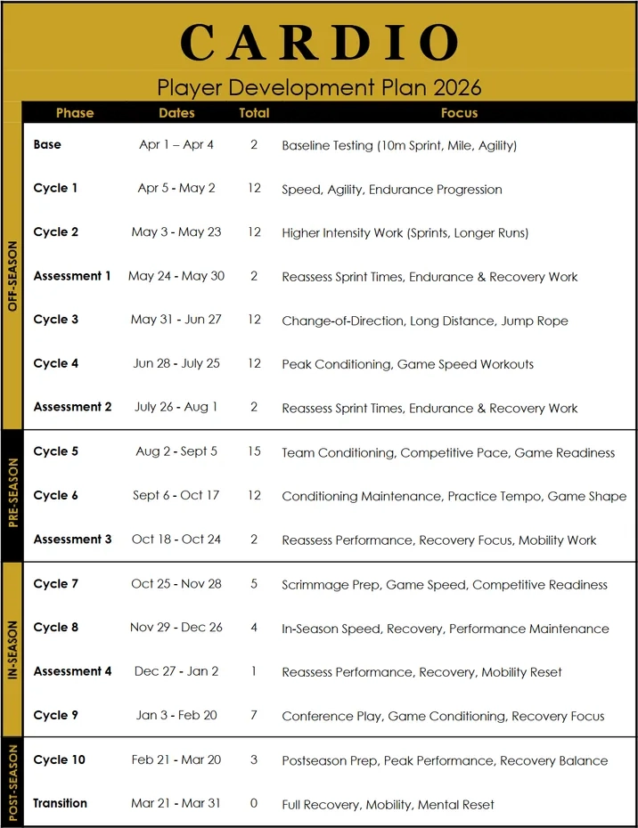 Cardio Development System document preview