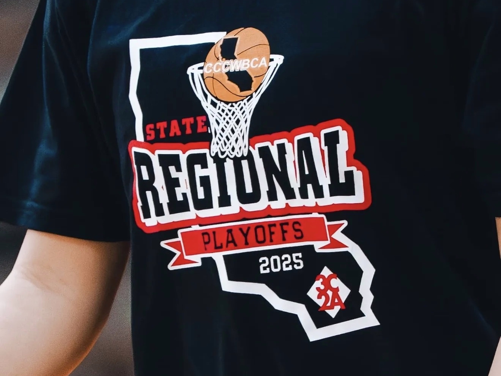 Santa Ana College regional playoffs shirt detail